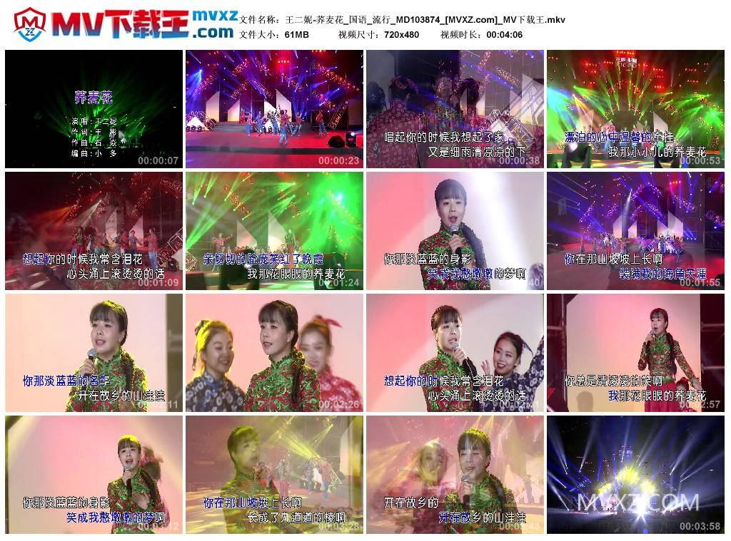 王二妮-荞麦花_国语_流行_MD103874